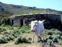 randonnee-corse