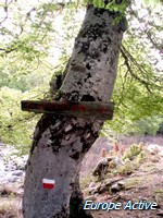 Bavella-randonnee
